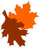  maple leaf 